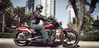 Harley Q1 Breakout