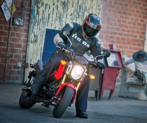 The all-new Grom offers a compact frame size, low seat, inverted front fork and hydraulic disc brakes.