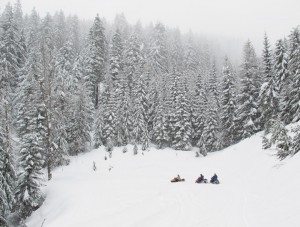 The International Snowmobile Manufacturers Association (ISMA) has asked a federal judge for permission to appeal rules of regulating the use of snowmobiles in national forests.
