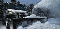 0314Focus-Brutus-610x300