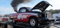 Bully-Dog-608x300