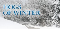 Winter road