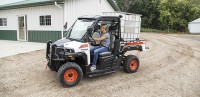 bobcat_wp